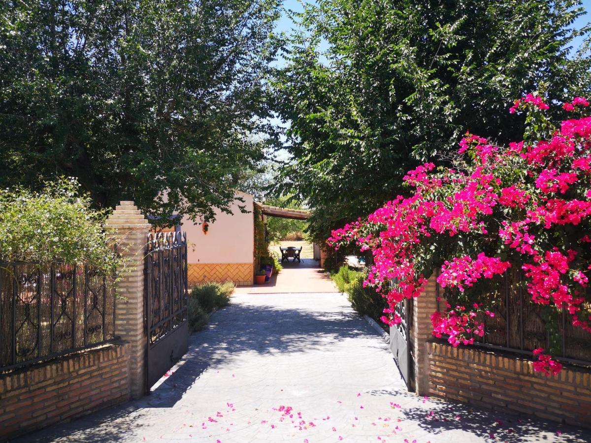 Casa Los Jinetes Carmona  Bagian luar foto