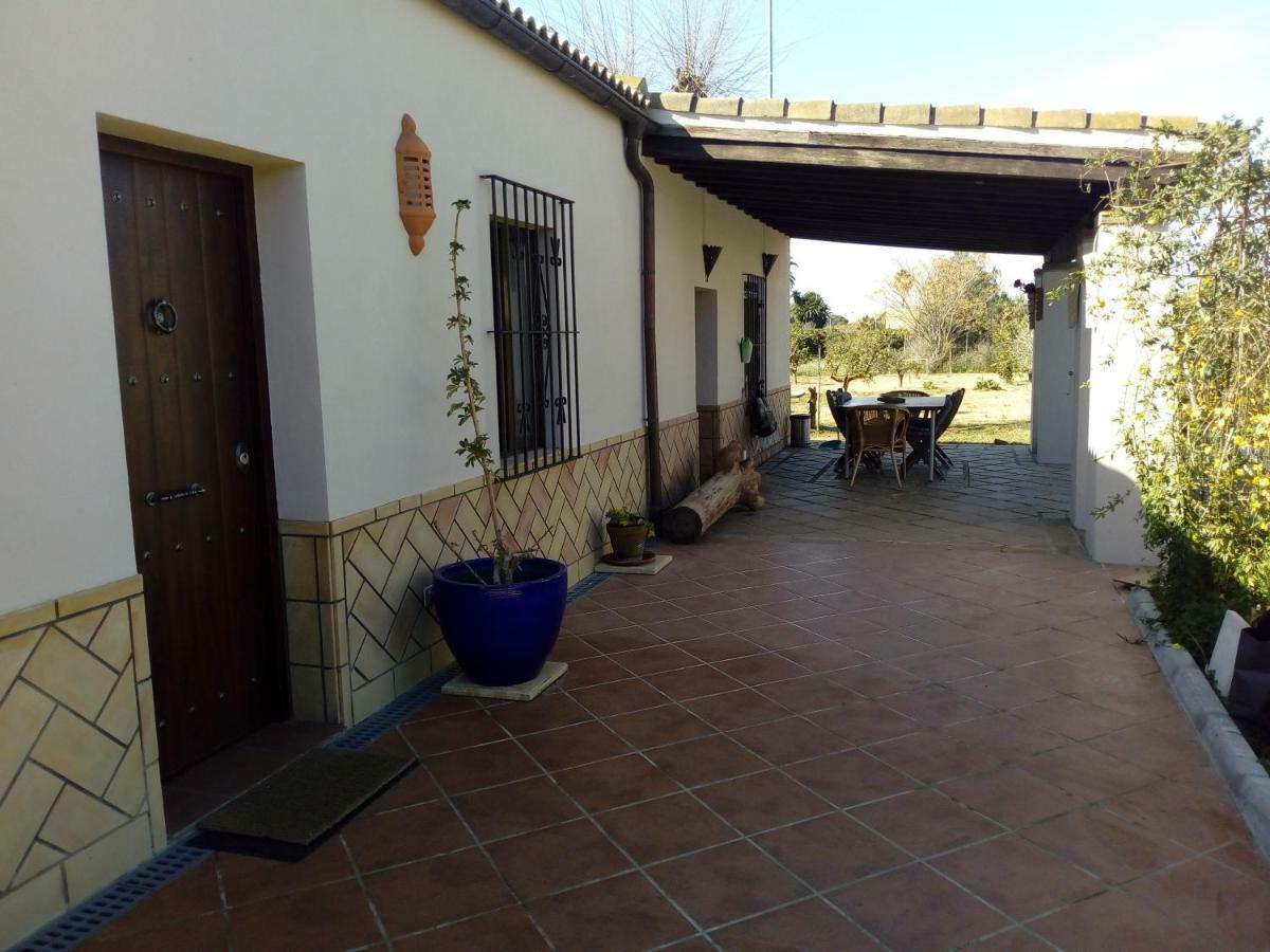 Casa Los Jinetes Carmona  Bagian luar foto